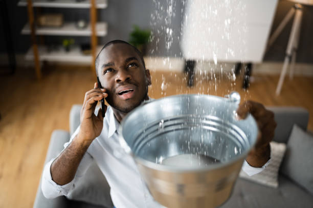 Best Mold removal after water damage  in Millbrae, CA