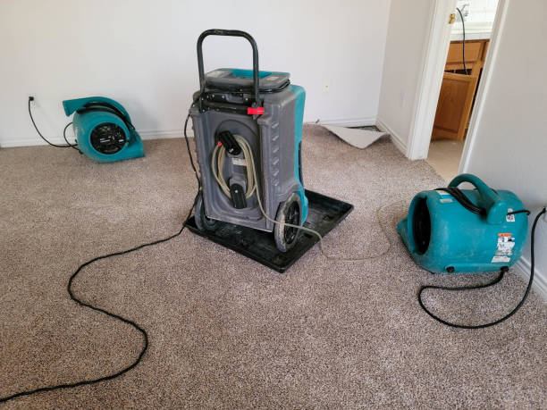 Best 24/7 water damage repair  in Millbrae, CA