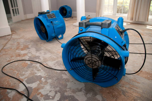  Millbrae, CA Water damage restoration Pros