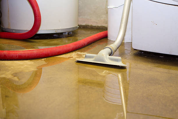 Best Water damage restoration process  in Millbrae, CA