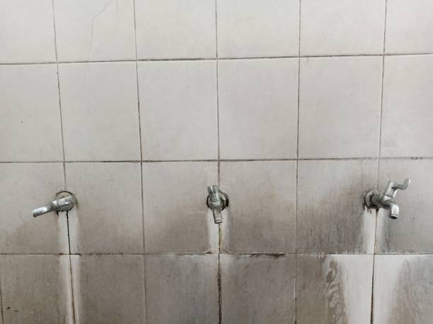 Best Basement water damage restoration  in Millbrae, CA