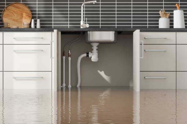 Best 24-hour water damage restoration  in Millbrae, CA