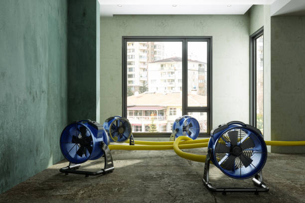 Best Carpet water damage restoration  in Millbrae, CA